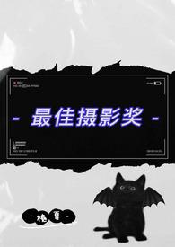 年度最佳摄影作品