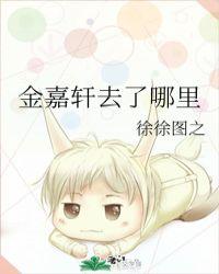金嘉轩去了哪里第几章在一起