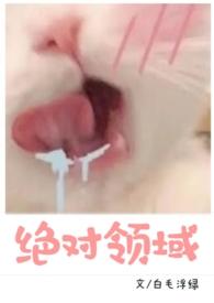 绝对领域(,校园H)